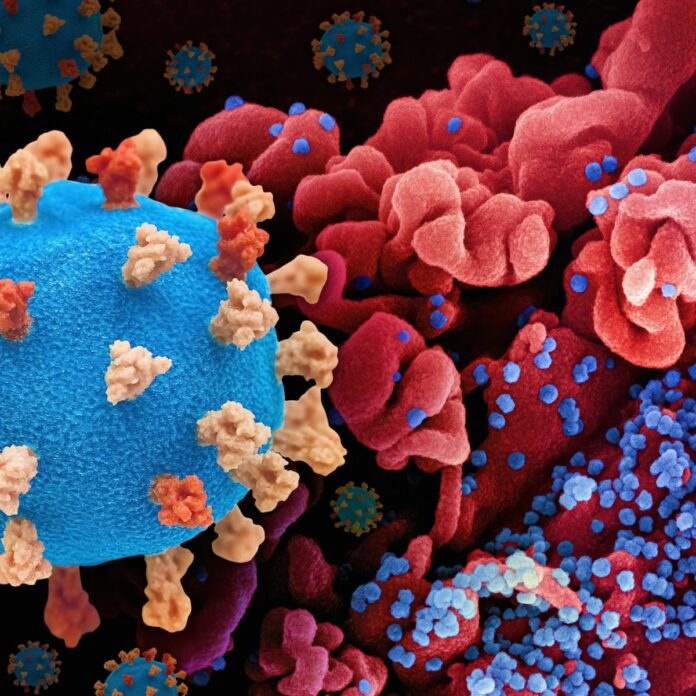 a close up of a blue and red corona corona