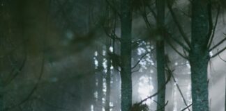 a person in a helmet holding a snowboard in the woods