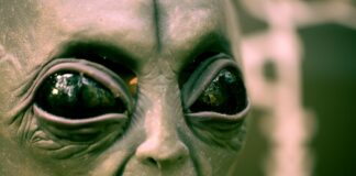 gray scale photo of human face