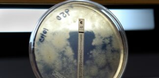 a person holding a thermometer in their hand