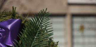 a person placing a red poppy on a wreath