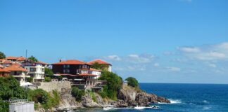 houses near body of water during daytime