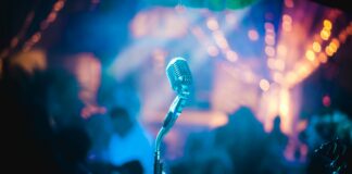 gray microphone inside party room