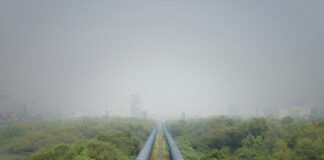 a large pipe in the middle of a lush green field