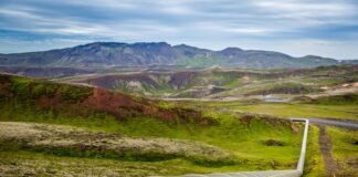 gray pipe on green grass