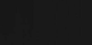 a black and white photo of a flower in the dark