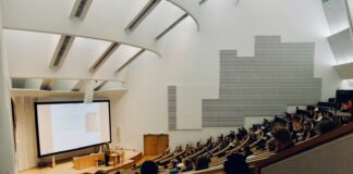 people sitting on chair in front of computer