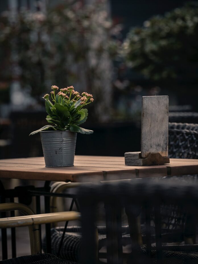 Potted plant on a wooden table with chairs