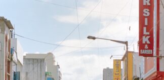 people walking on street during daytime