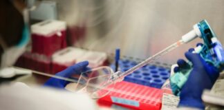a person in a lab holding a pipe
