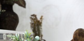 green plant in yellow pot