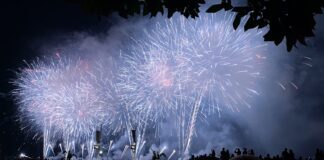a crowd of people watching fireworks