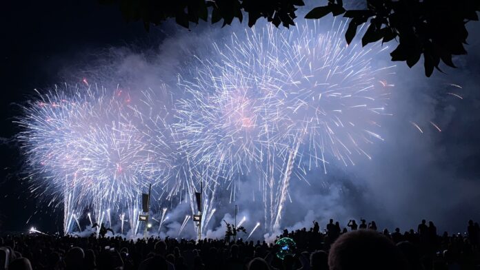 a crowd of people watching fireworks