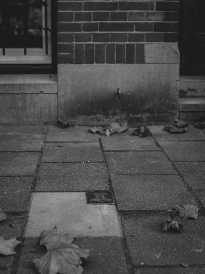Fallen leaves on a brick wall and tiled ground