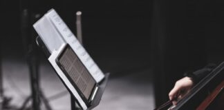 a musical instrument and a microphone on a stage