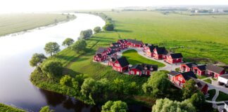 houses near green trees and river during daytime