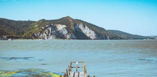 brown wooden bridge over blue sea during daytime