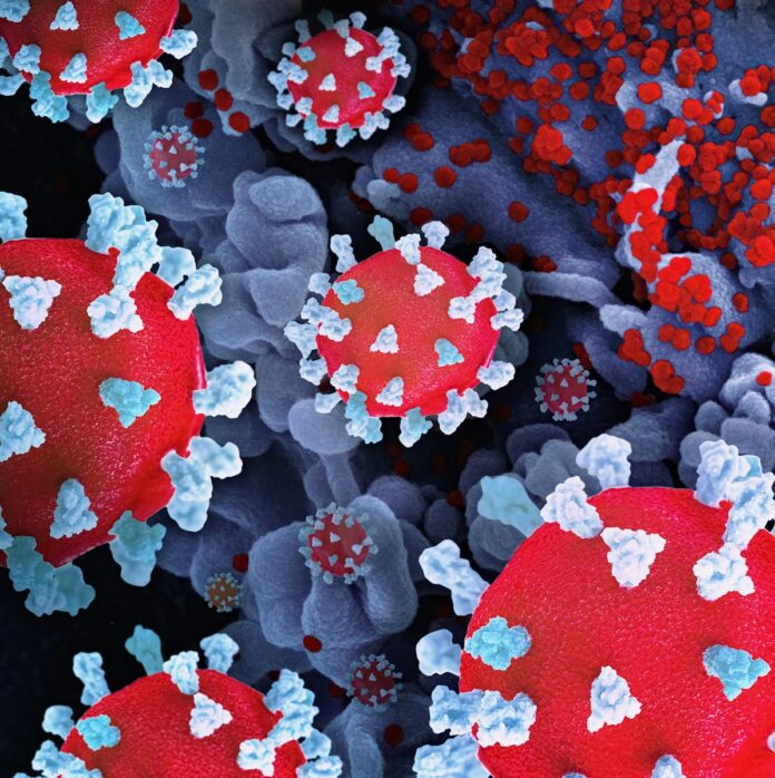 a close up of a red and white substance