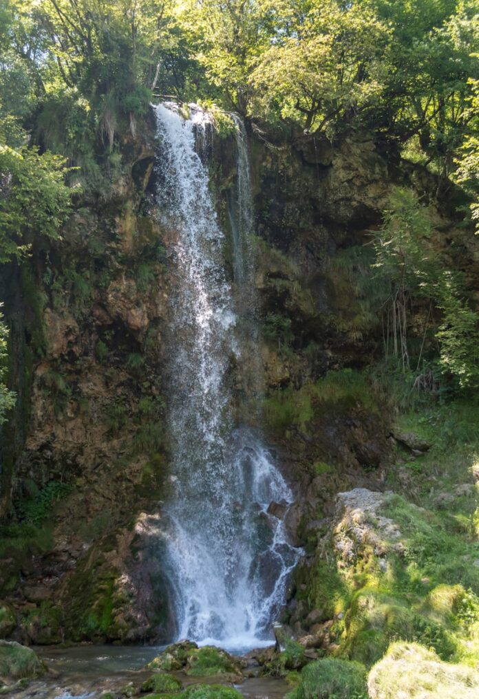 water falls in the middle of the forest