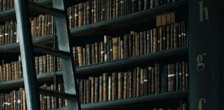 library shelf near black wooden ladder