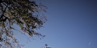 cathedral under blue sky and calm trees