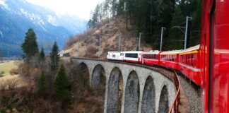red and white train on rail bridge during daytime