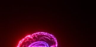 A person's hand holding a glowing brain model