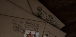 a close up of a piece of paper with flowers on it